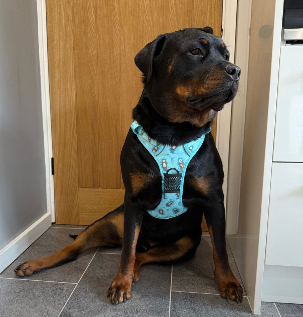 Pup Chic Boutique Tactical Dog Harness - Otterly Lovely