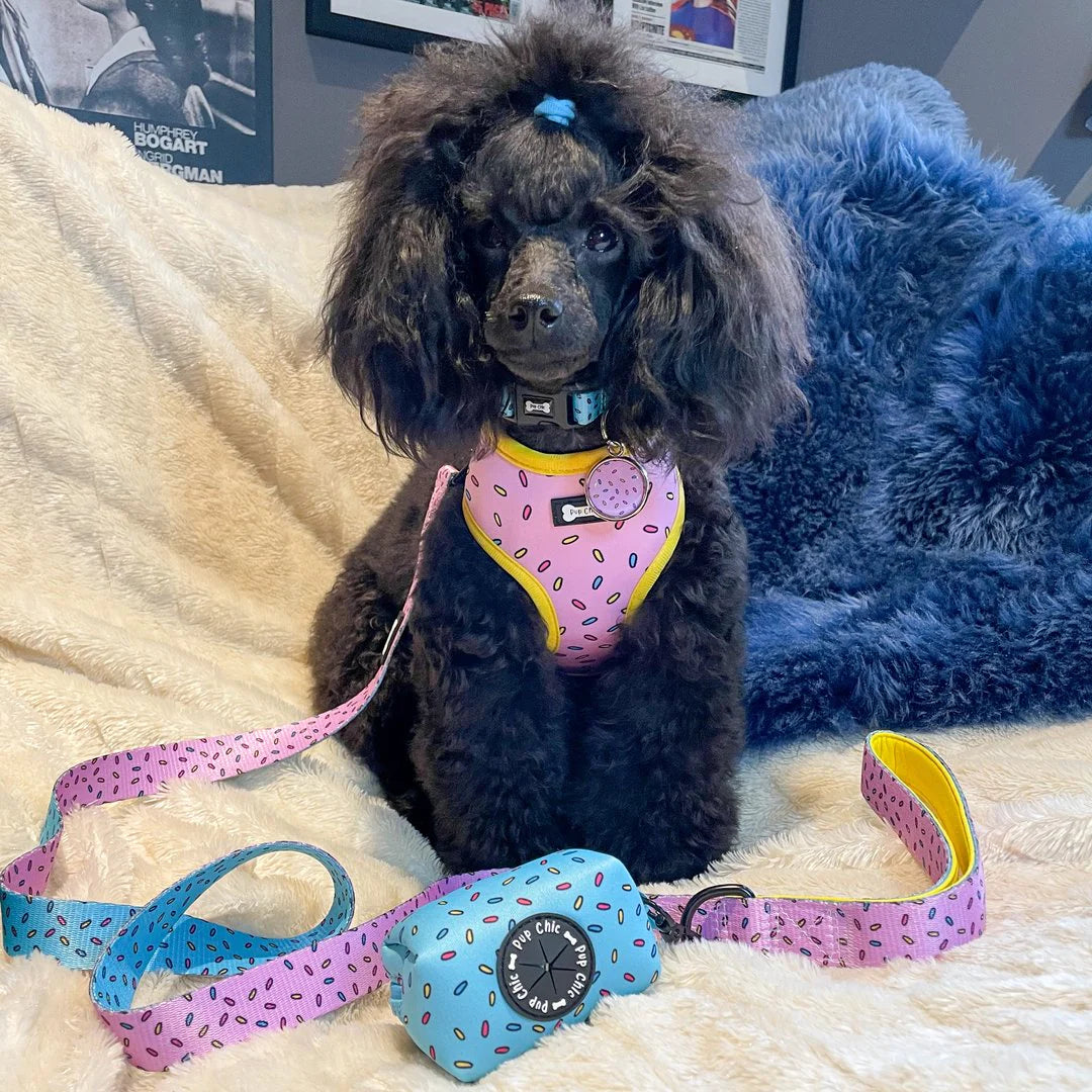 Pup Chic Boutique Dog Lead - Sprinkles / 5ft