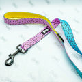 Pup Chic Boutique Dog Lead - Sprinkles / 5ft