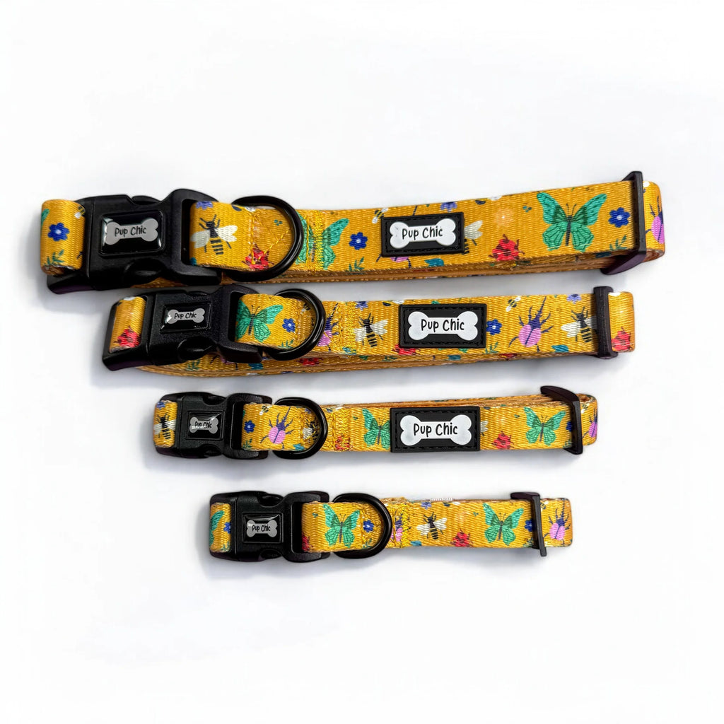 Pup Chic Boutique Dog Collar - Summer Buzzin Yellow