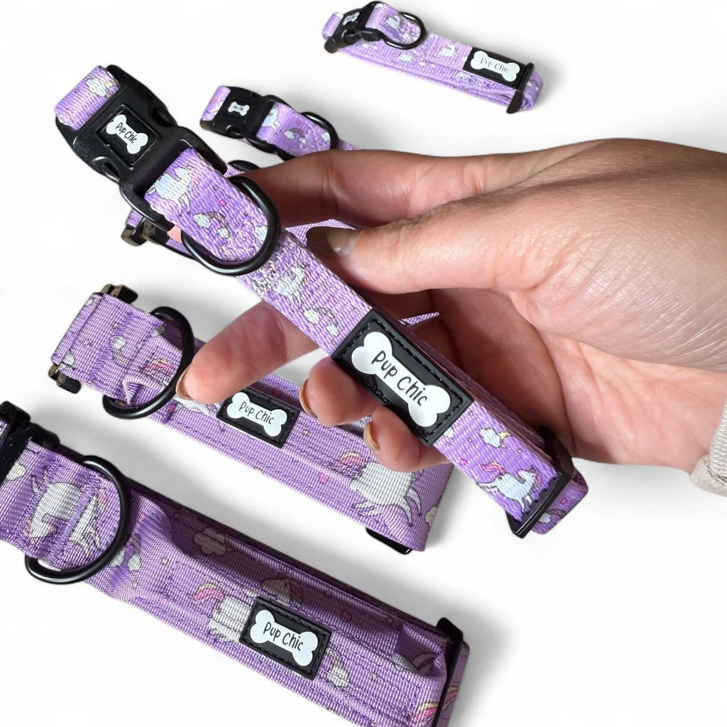 Pup Chic Boutique Dog Collar - Daydreams & Unicorns
