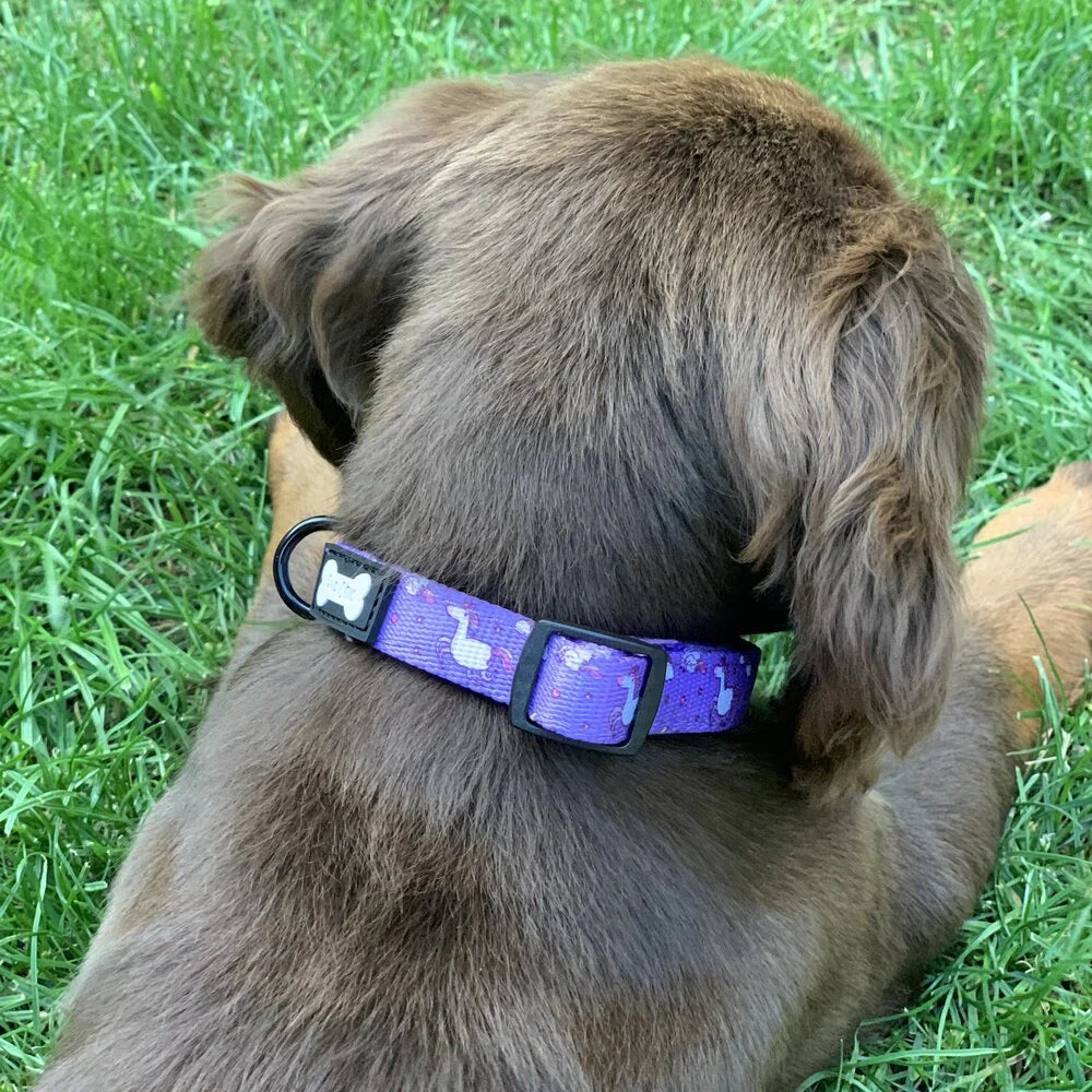 Pup Chic Boutique Dog Collar - Daydreams & Unicorns