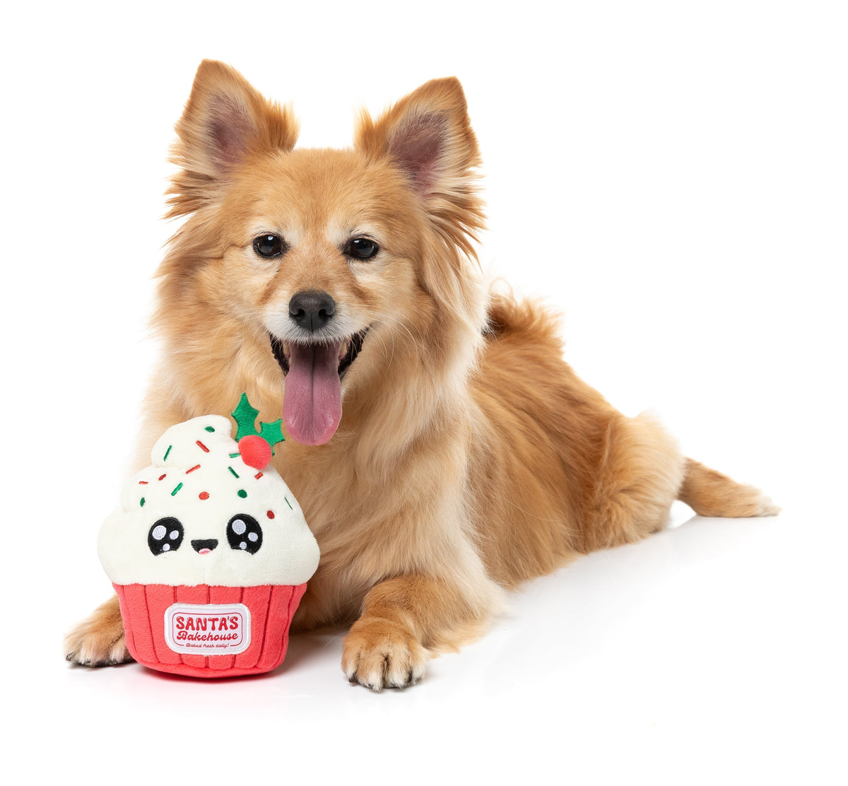 FuzzYard Frosty Cupcake Christmas Dog Toy