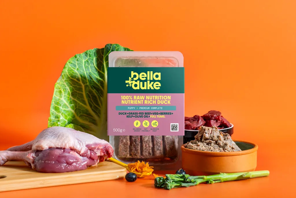 Bella & Duke Puppy Working Raw Food