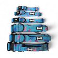 Pup Chic Peacock Power Standard Dog Collar range